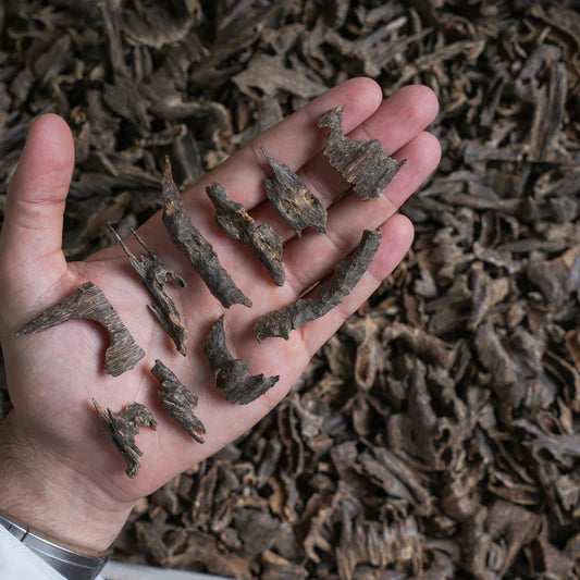 Hindi Muri Triple Super