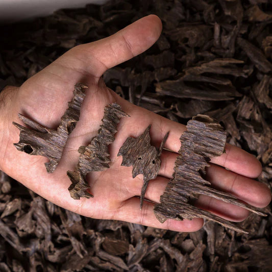 Hindi XL Muri Double Super